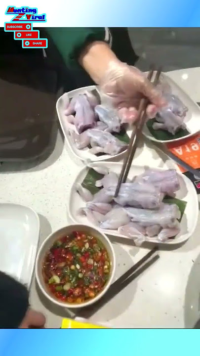 Viral Masakan Kodok Katak Masih Gerak Dan Hidup Ga Tega Makannya