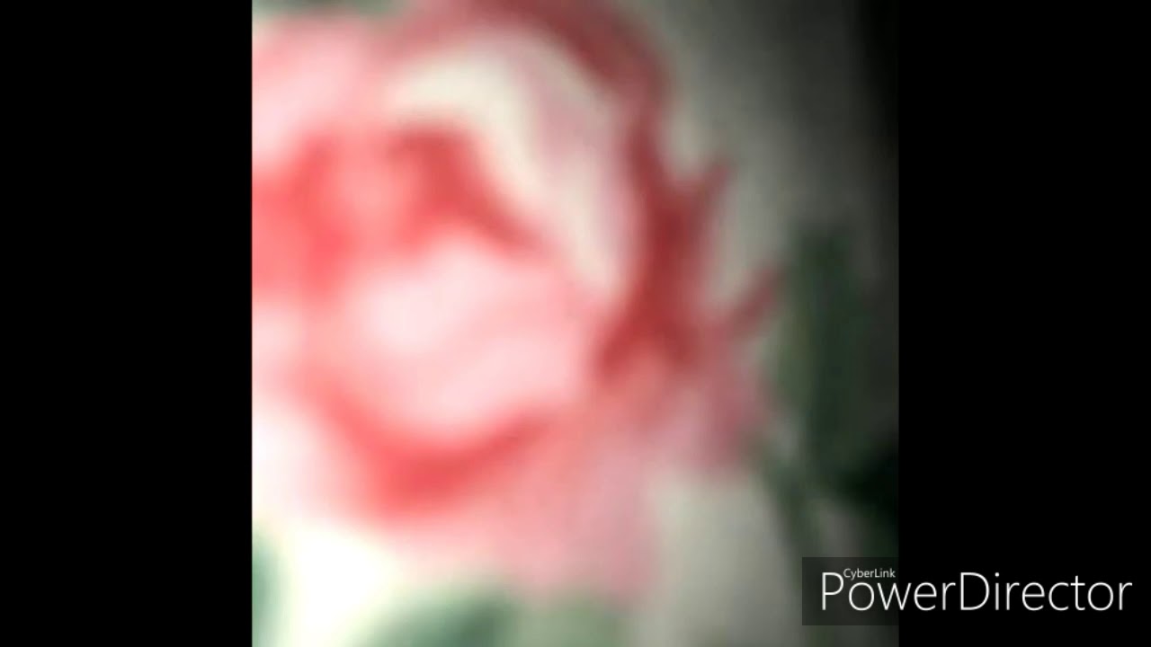 kill.zero-pissed off(slowed&reverb)