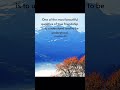 One of the most beautiful qualities of true friendship is to understand and to be understood. #being