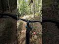 Pro DH Trail Pt. 1 - Snowshoe, WV #mtb #cycle #downhill #westvirginia #snowshoewv #specialized