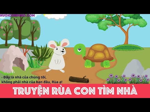 Video Truyện Rùa Con Tìm Nhà - youtube
