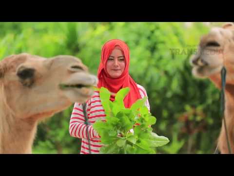 HIJAB TRAVELLER - Melihat dari dekat Indahnya Pulau Dewata Bali (19/02/2017) Part 3 HIJAB TRAVELLER - Melihat dari dekat Indahnya Pulau Dewata Bali (19/02/2017) Part 3
