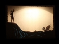 Once Upon a Shadow