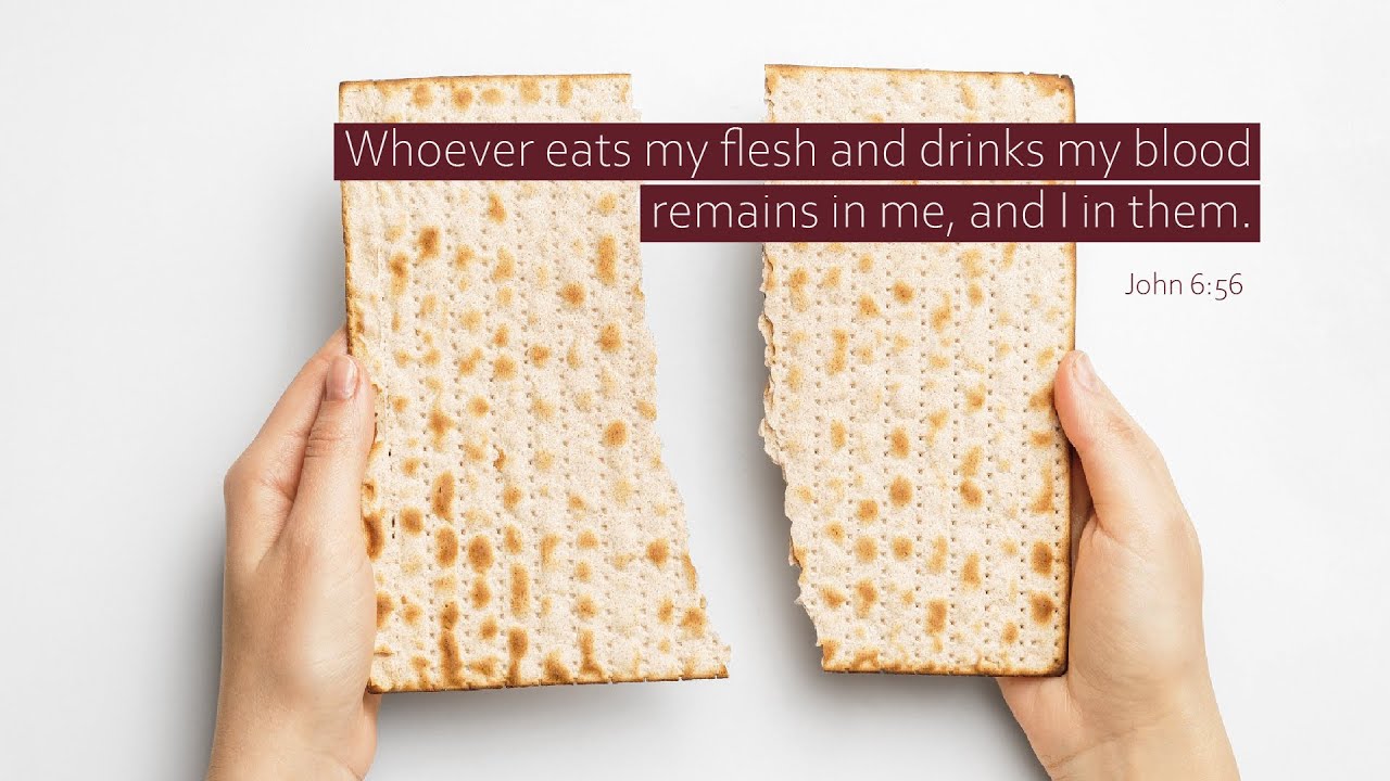 The Bread of Life - John 6:28-71 - YouTube