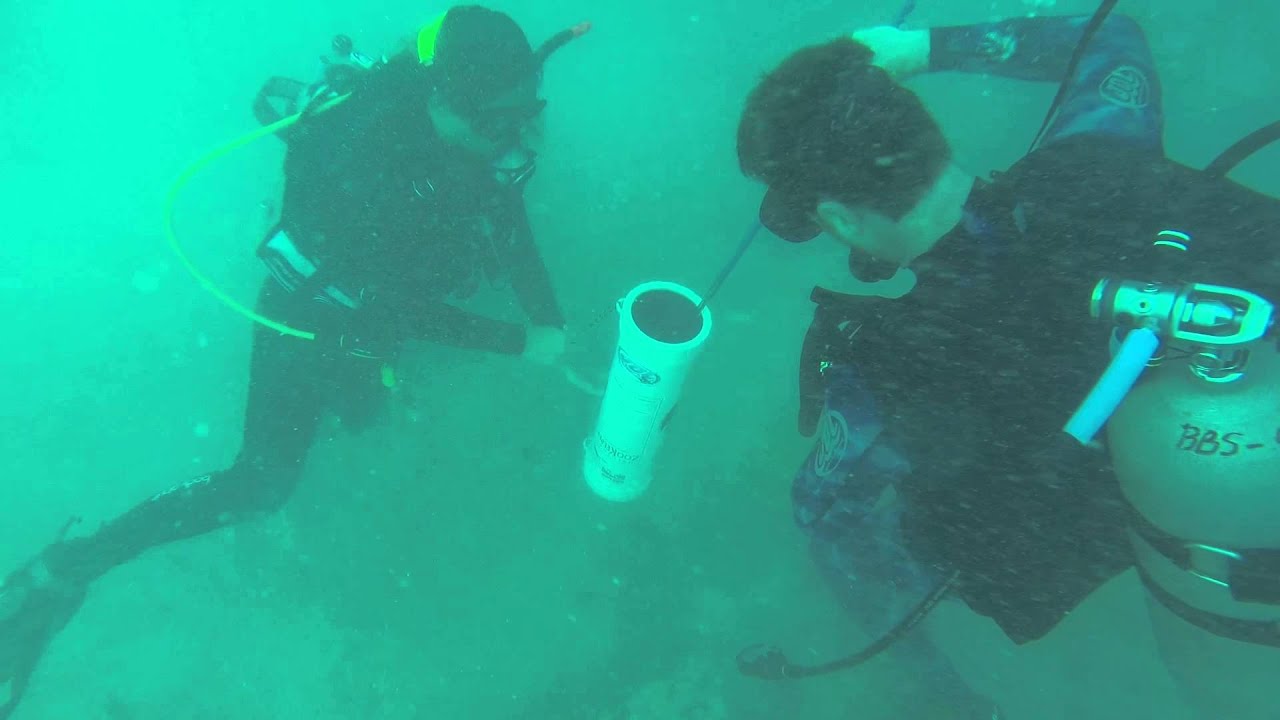 Scuba Quaids Diving in Vieques of Puerto Rico GoPro Hero3 2014 YouTube