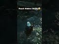 Roach learned to breath underwater and didn’t tell Geralt 💀…#thewitcher3 #gaming #shorts #witcher3
