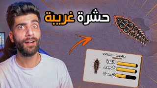 حرب النمل :حدث وحشرة جديدة 😃 | Pocket Ants