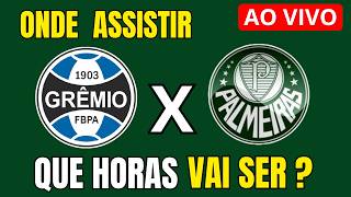 GRÊMIO X PALMEIRAS AO VIVO - BRASILEIRÃO 2O26 - ONDE ASSISTIR - 28ª RODADA 