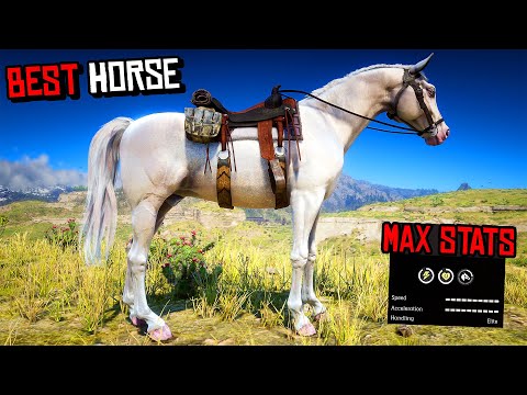 5 Legendary Horses You Can Get in Missions – RDR2
