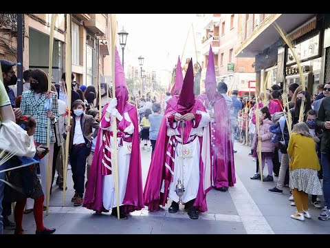 Procesión de la Real Cofradía de Jesús en su Entrada Triunfal en Jerusalén