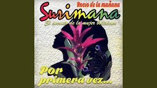 Versión 3 del video