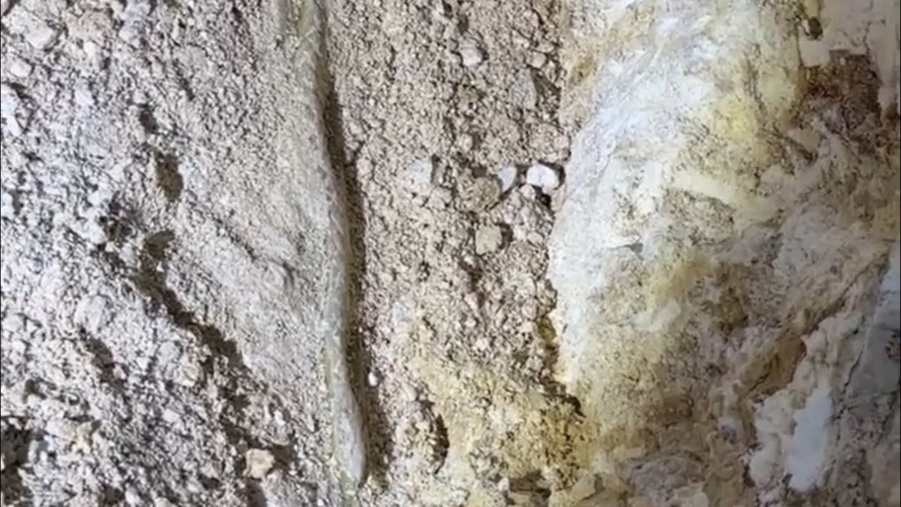 الزعيم يعثر على افعى داخل البئر تحرس المال