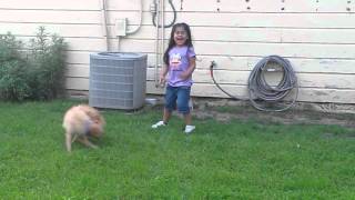 Eveline jugando con 'Chapitas' by ChiveiroMix 57 views 8 years ago 30 seconds