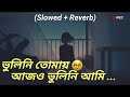 Bhulini_Tomay_Ajo_bhulini_amy 🥺 (Slowed +   Reverb)🥹Lofi song