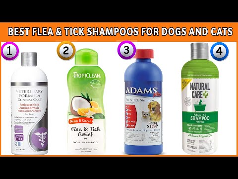 Video: Vlooienshampoo Voor Honden: Wanneer En Hoe Het Product Te Gebruiken, Een Overzicht Van Populaire Merken, Beoordelingen Over Hun Effectiviteit