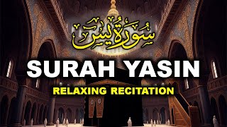 Surah Yasin (Yaseen) سورة يس كاملة Full with Arabic Text & Translations screenshot 2