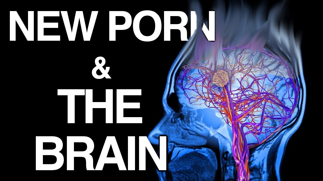 ⁣WHY Porn Changes the Brain | Science of NoFap [SFW]