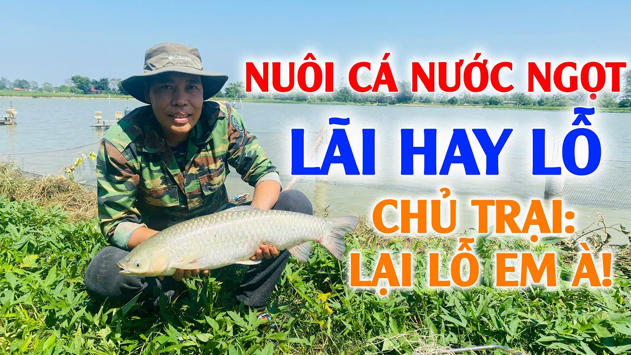 Kinh nghiệm xương máu nuôi cá nước ngọt | Kỹ thuật nuôi cá trắm cỏ