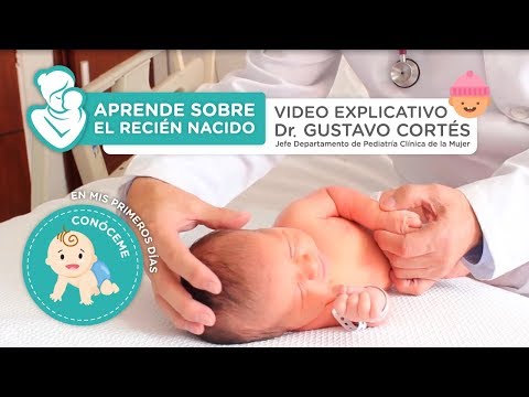 Video: Conocer A Un Recién Nacido: ¿qué Debe Saber Una Madre Joven?