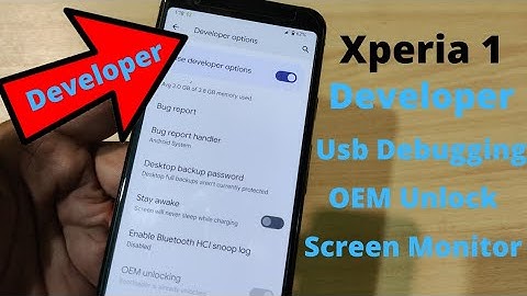 Sony Xperia 1 Developer Options find Hindi Urdu