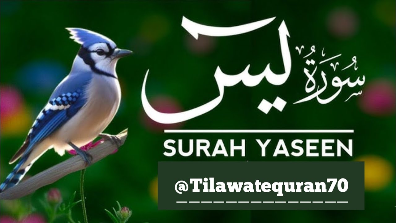 Surah Al Yaseen Full (سورہ یس) Zabardast Awaz Me 💐 जरूर सुने एक बार 