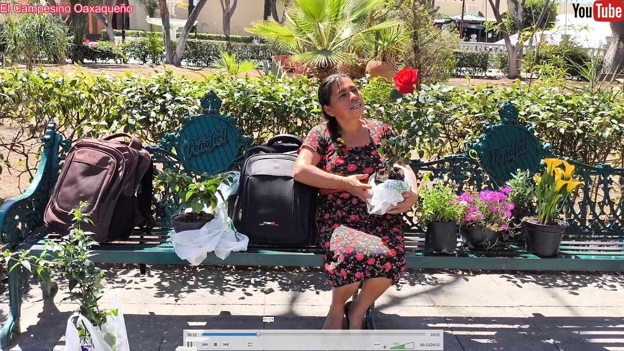 ✅️😃 Fuimos a la ciudad y aprovechamos para comprar flores en el vivero y dulces 