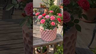DIY Honeycomb Concrete Planter from Paper Cups 🌸
