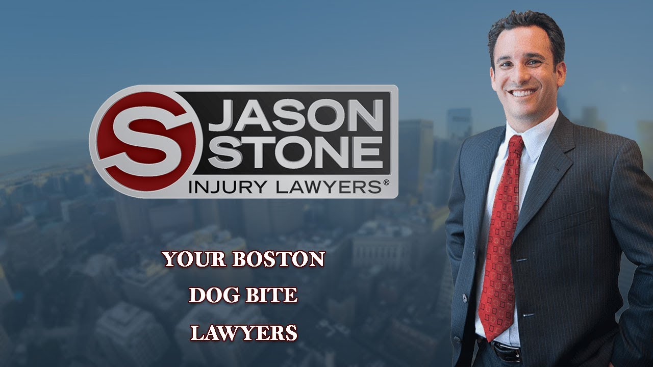 Dog Bite Lawyer Massachusetts How to Avoid Dog Bites Jason Stone