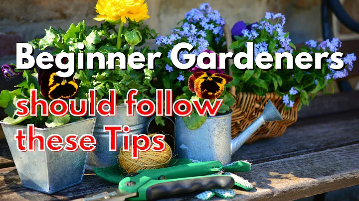 Beginner Gardeners should follow these Tips