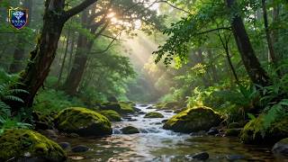 2 Hours Gentle Forest Stream🌿 & Woodpecker ASMR for Deep Sleep & Focus screenshot 1