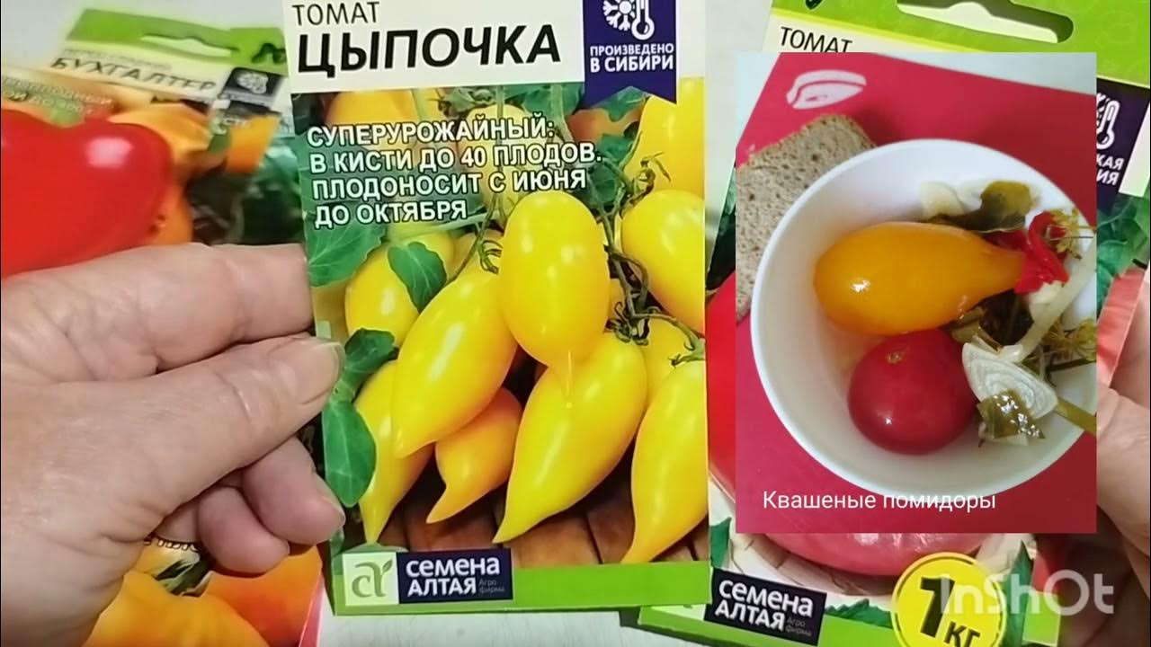 Стоит ли сажать томаты, перцы и огурцы фирмы, ,Семена Алтая,, ? Мое ...