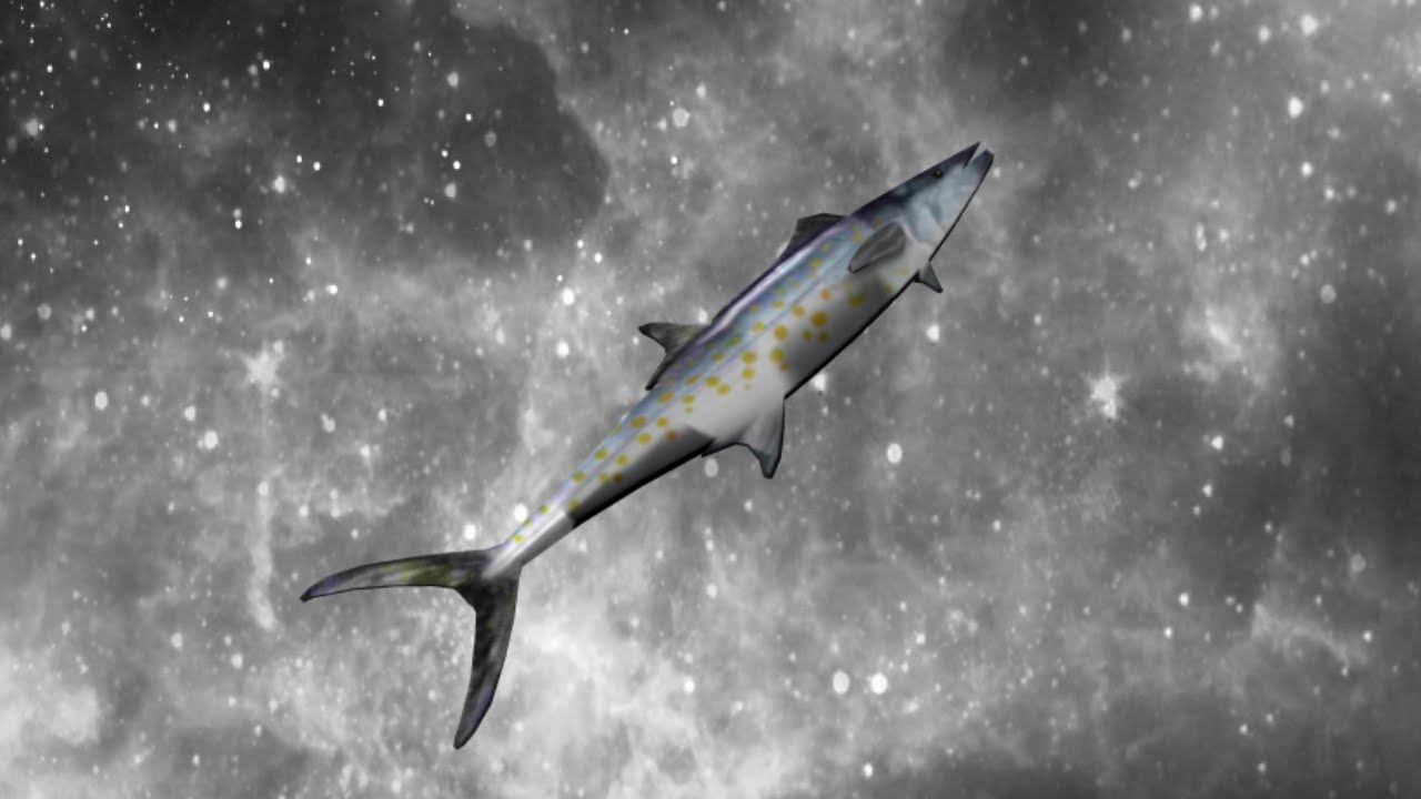 How To Get Mackerel In MM3 YouTube how-to-get-mackerel-in-mm3-youtube