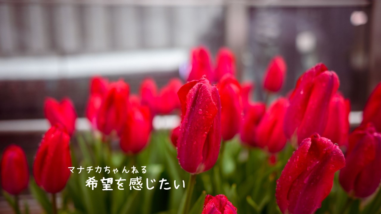 希望を感じたい