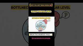 Hitting a Muscle Plateau? You're hitting an "Anabolic Wall"! #metabolomics #muscle