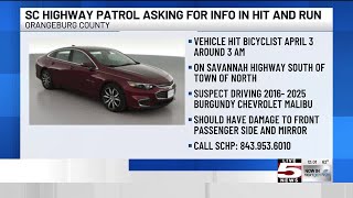 VIDEO: Troopers seek tips on 2nd car in deadly Orangeburg County hit and run