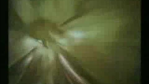 Escape from Bug Island (Wii) GC Trailer