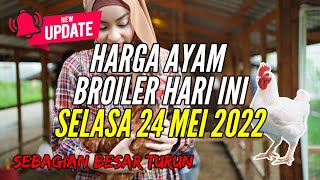 Harga Ayam Broiler Jum'at 05 Agustus 2022. 