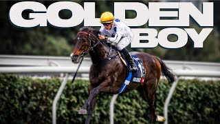 Stars of Sha Tin! - ALL Races from HKIR 2023 Including Golden Sixty & Romantic Warrior