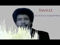 Best oromo music   musxafaa harawwee  sijaalle  haddaar tube