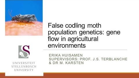 28 False codling moth population genetics gene flow in agricultural environments  E Huisamen
