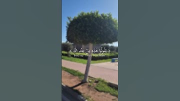 - قل متاع الدنيا قليل - تلاوة عطرة للقارئ الشيخ ياسر الدوسري