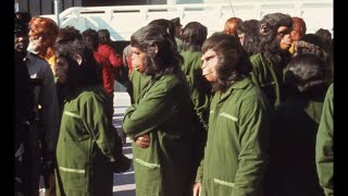 Ms. Annalie Cummings on Orange County and the Occulted University