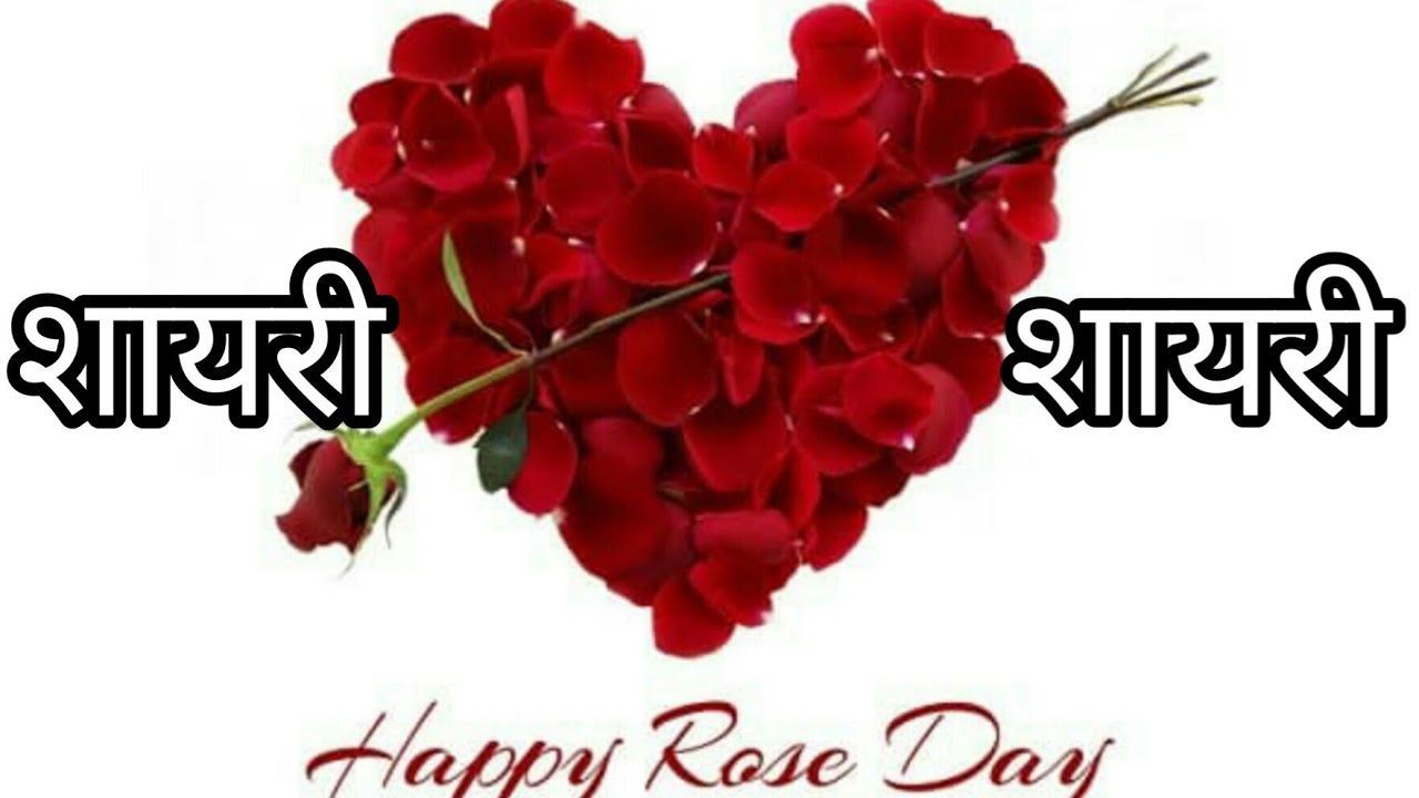 Rose day sayri SMS status quotes in hindi /रोज डे पर शायरी /Rose day wishes sayri in hindi