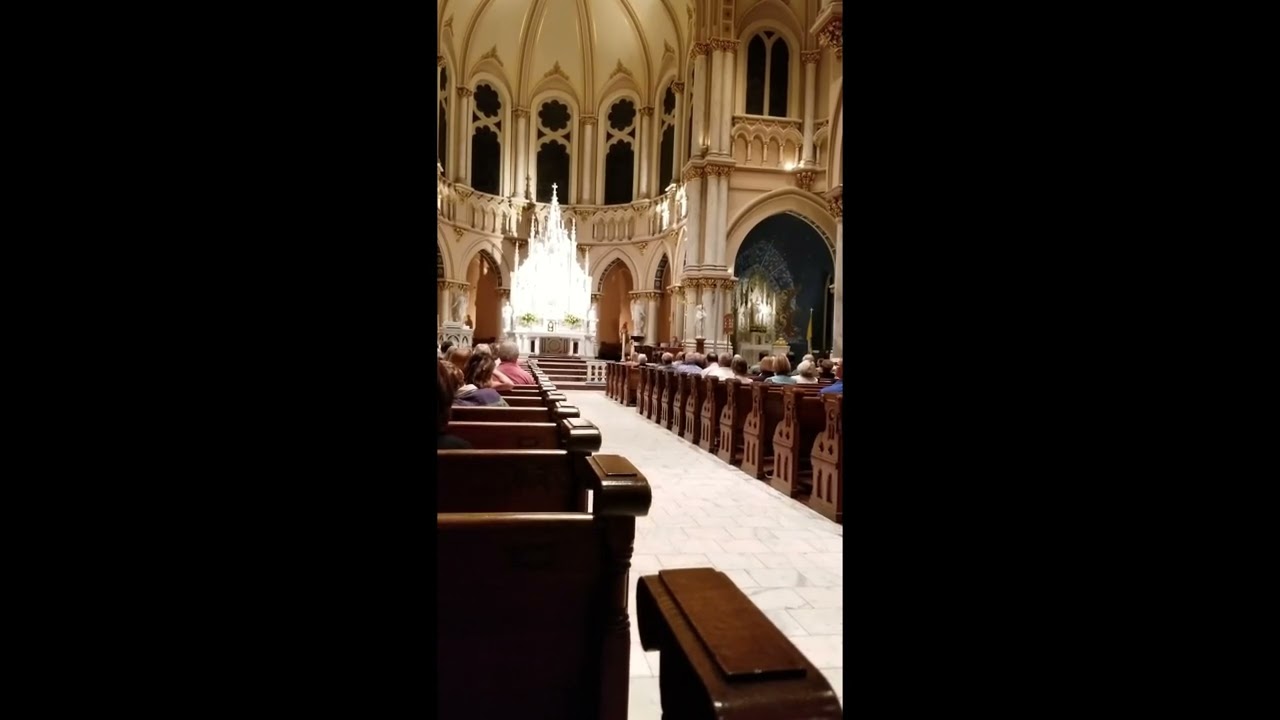 Mahler 3, Finale, for Brass Quintet, Organ and Timpani