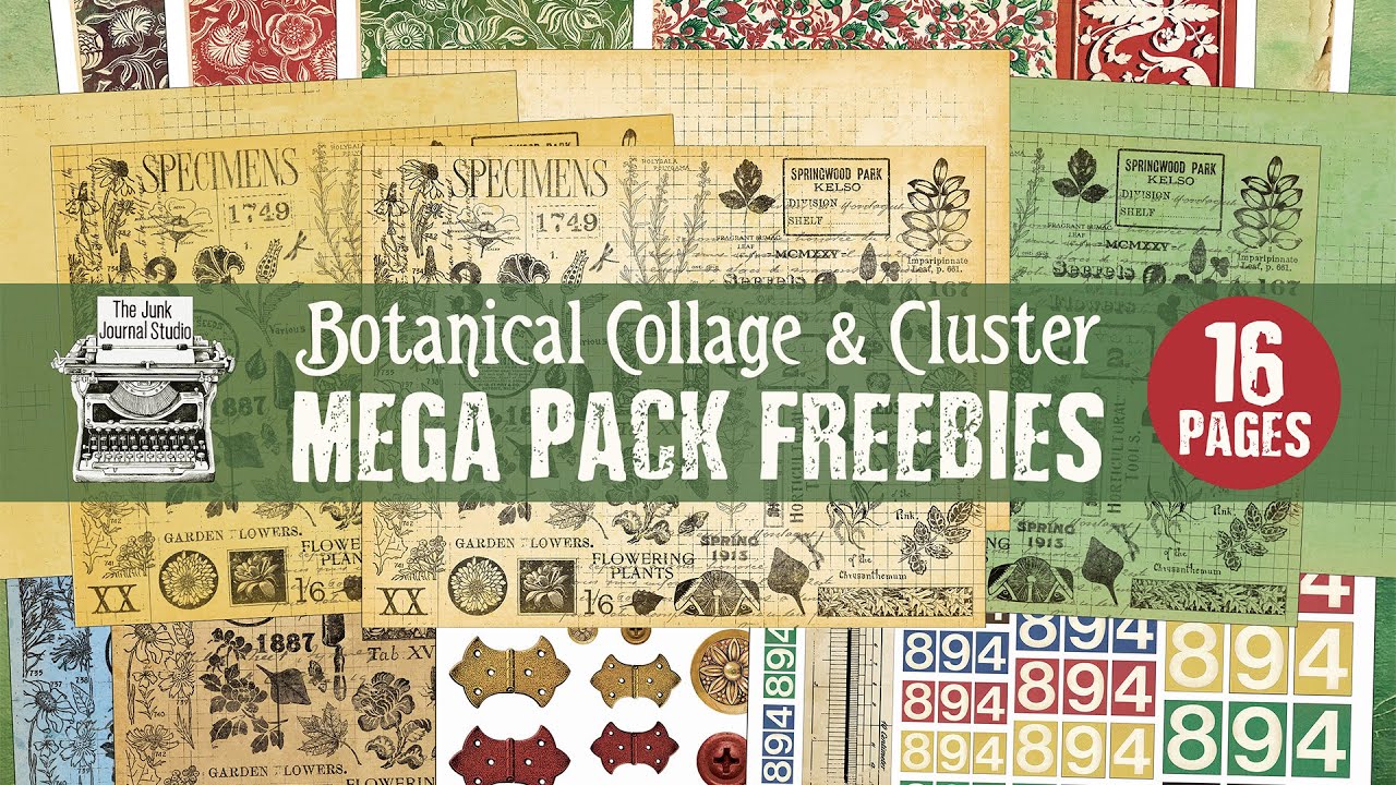 5 NEW FREEBIES l Botanical Collage & Cluster MEGA PACK l Blue Add On ...