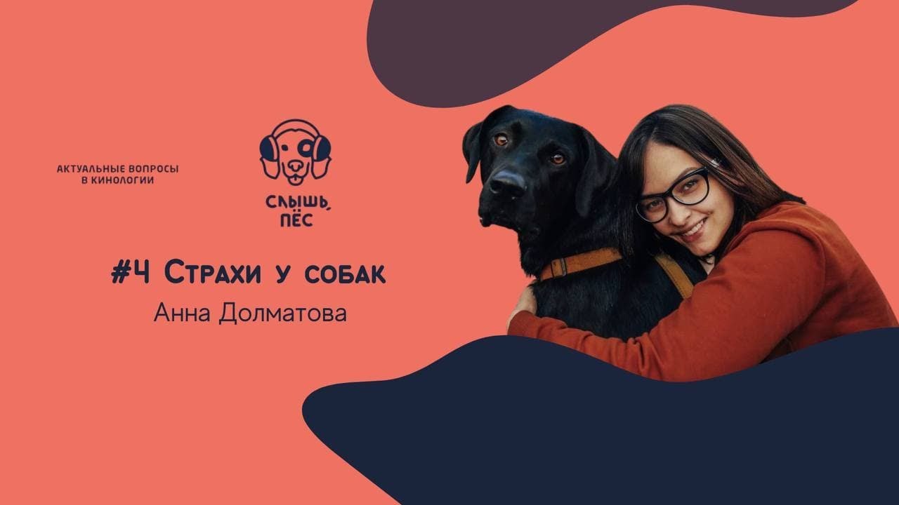 Слышь, пёс #4 Страхи, Анна Долматова