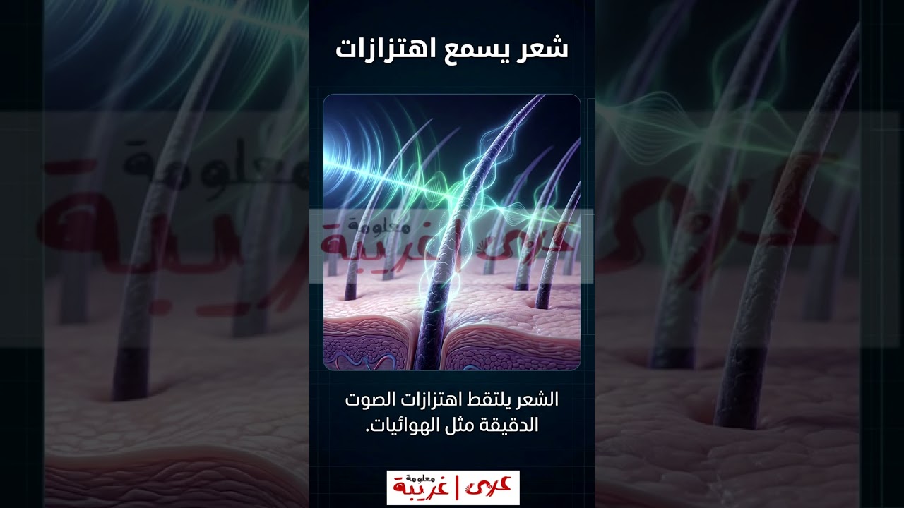 الشعر يسمع الاهتزازات