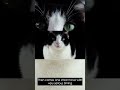 FunCatyBaby - Holds Pose Moment Matters