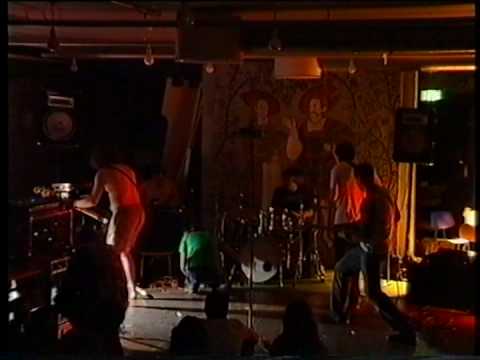 ektroverde live 2/4