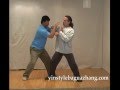 Yin style baguazhang lion system applications dvd